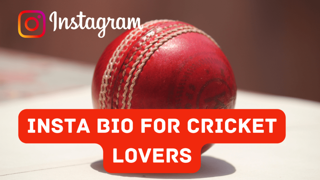 Insta Bio For Cricket Lovers