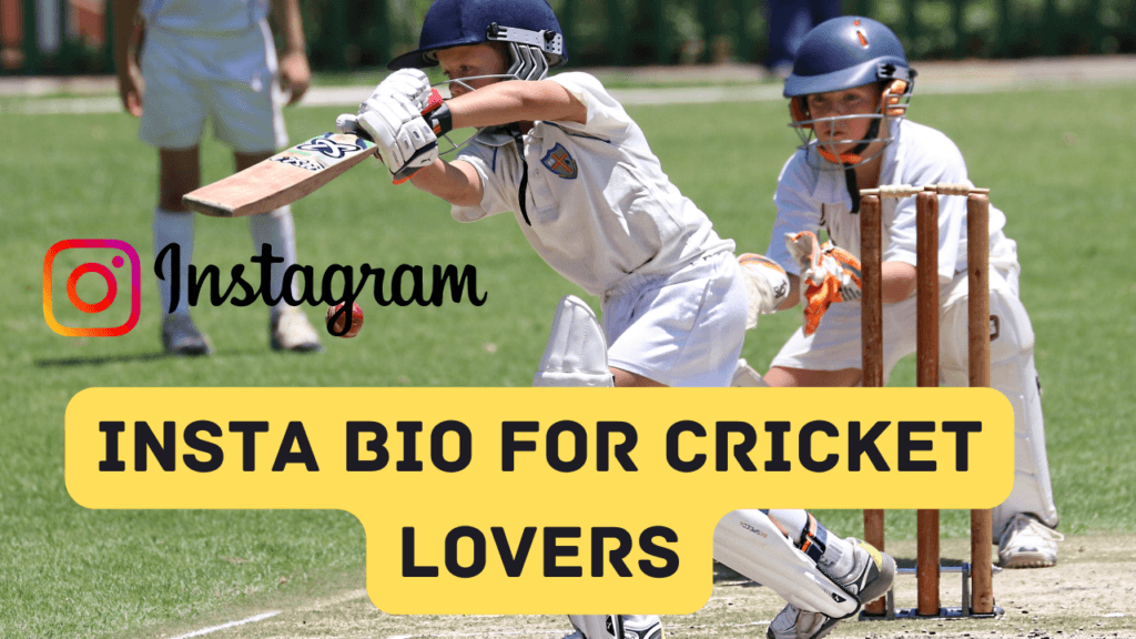 Insta Bio For Cricket Lovers