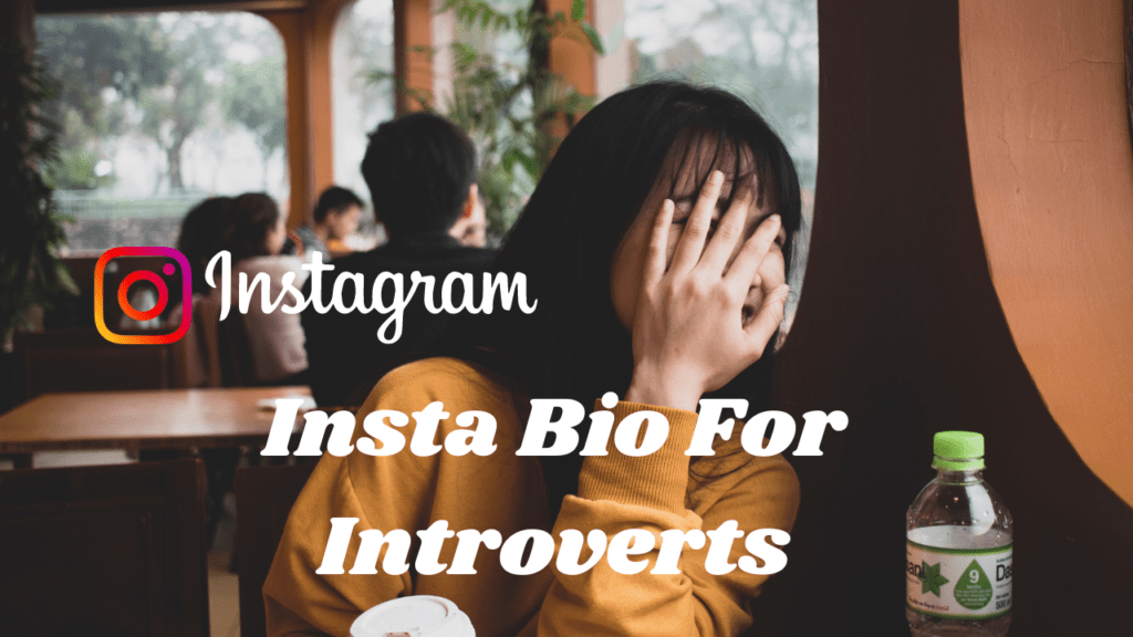 Insta Bio For Introverts