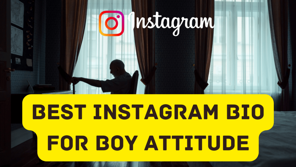 Best Instagram Bio For Boy Attitude